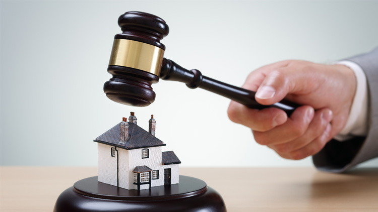 Property Litigation